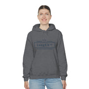 LongEx™ Unisex Heavy Blend™ Hooded Sweatshirt