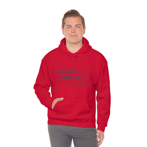 LongEx™ Unisex Heavy Blend™ Hooded Sweatshirt